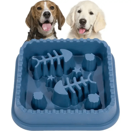 Anti-slip Pet bowl (DZX-B002)