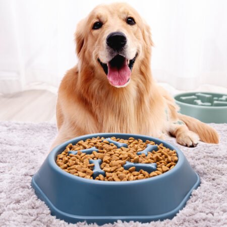 Non-slip Pet bowl(DZX-B001)