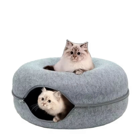 Cat Tunnel Bed