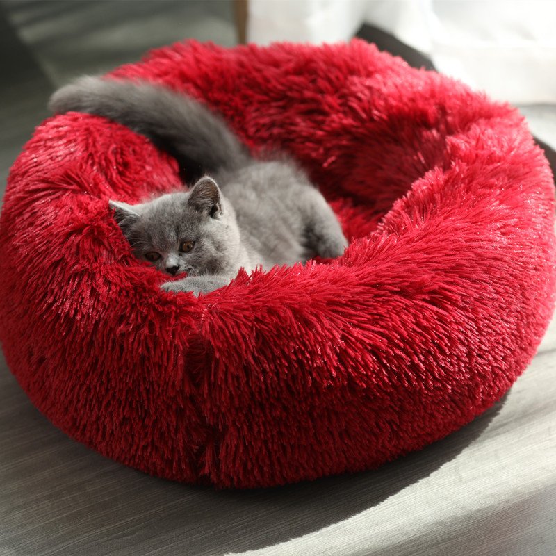 dog bed (11)
