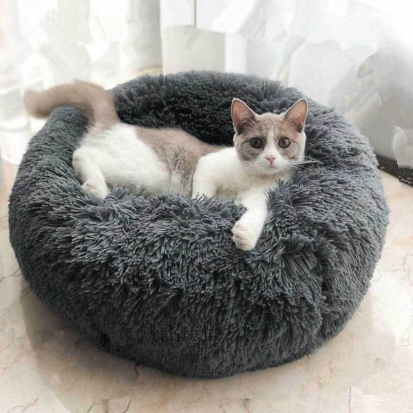 dog bed (25)