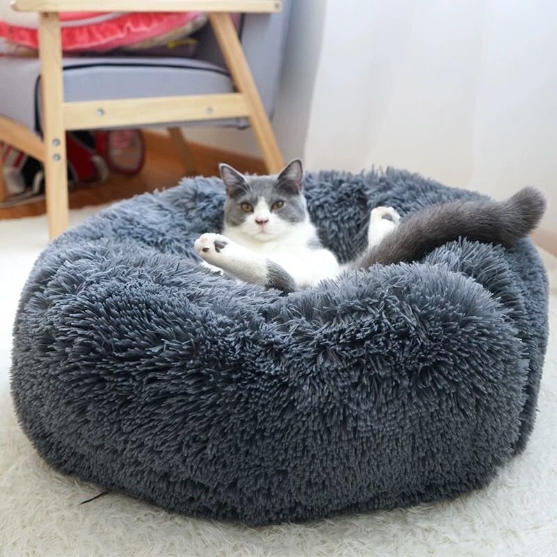 dog bed (4)