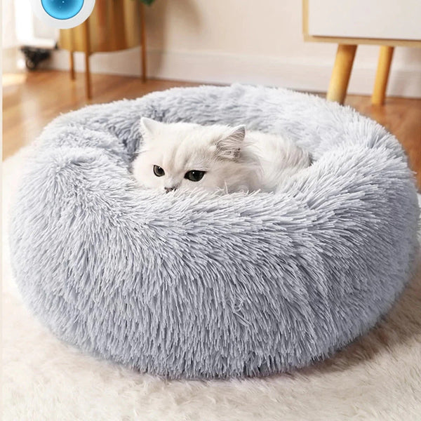 dog bed (9)