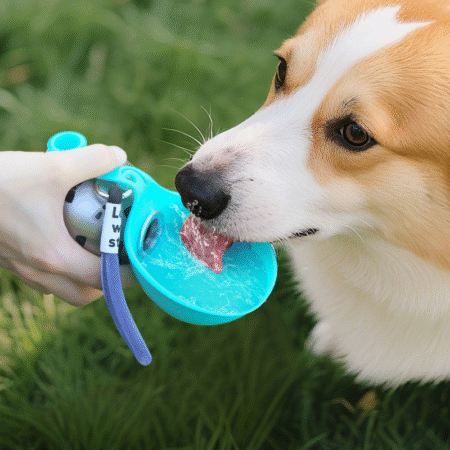 Portable 304 Stainless Steel Dog Water Bottle with Silicone Base for Outdoor